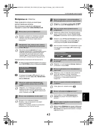 Страница 43