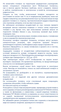 Страница 31