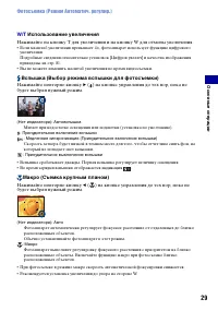 Страница 29