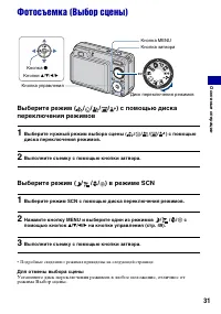 Страница 31
