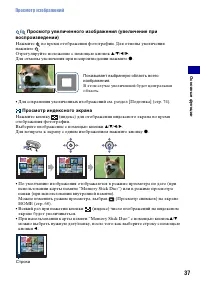 Страница 37