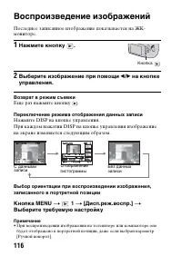 Страница 116