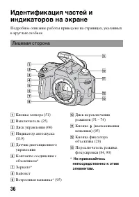 Страница 36
