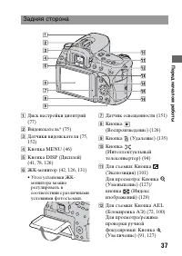 Страница 37