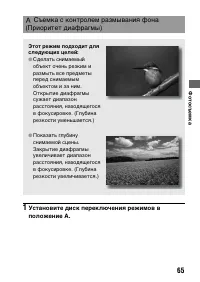 Страница 65