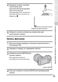 Страница 29