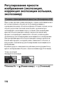 Страница 116