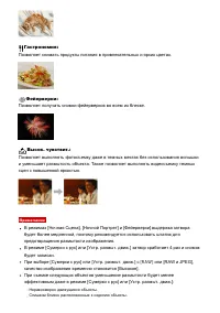 Страница 54