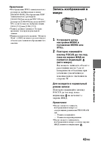 Страница 43