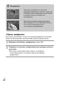 Страница 48