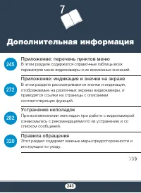 Страница 243