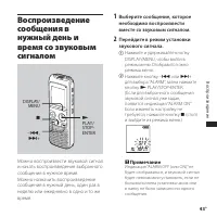 Страница 43