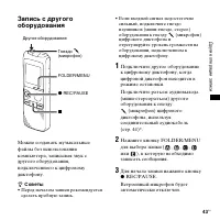 Страница 43