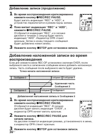 Страница 36