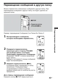Страница 43