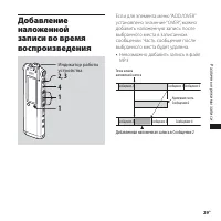 Страница 29