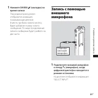 Страница 31