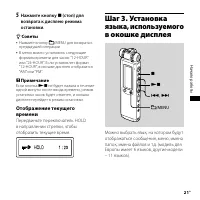 Страница 21