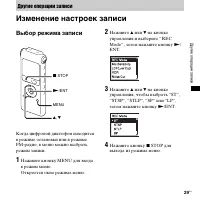 Страница 29