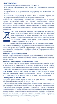 Страница 31