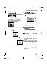 Страница 43
