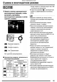 Страница 43