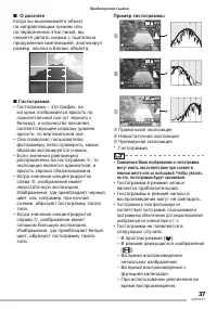 Страница 37
