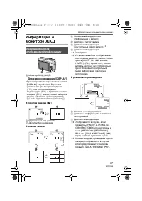 Страница 37