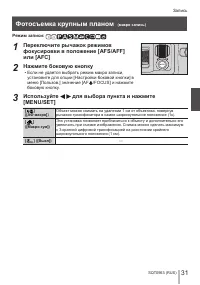 Страница 31