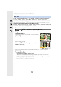 Страница 244