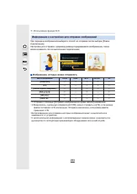 Страница 293