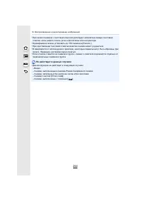 Страница 244