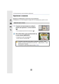 Страница 259