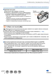 Страница 177