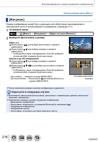 Страница 216