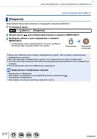 Страница 217