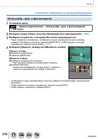 Страница 246