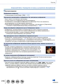 Страница 316