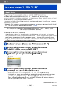 Страница 243