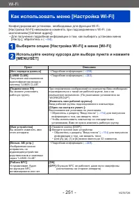 Страница 251