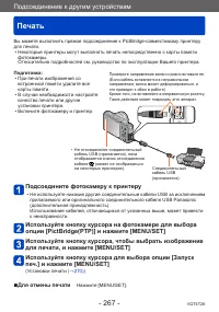 Страница 267