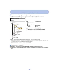 Страница 159
