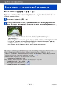 Страница 101