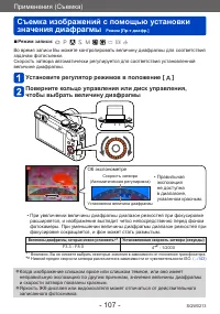 Страница 107