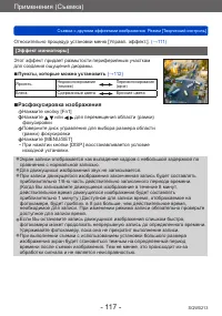 Страница 117