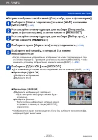 Страница 233