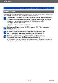 Страница 246