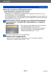 Страница 251
