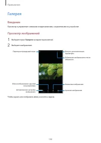 Страница 104