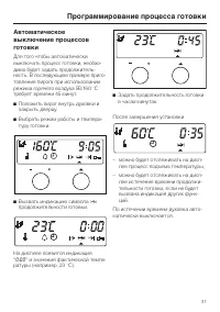 Страница 31